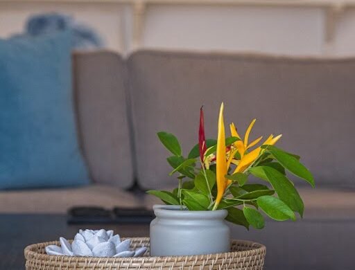 Amila Rathnayake Photography-36